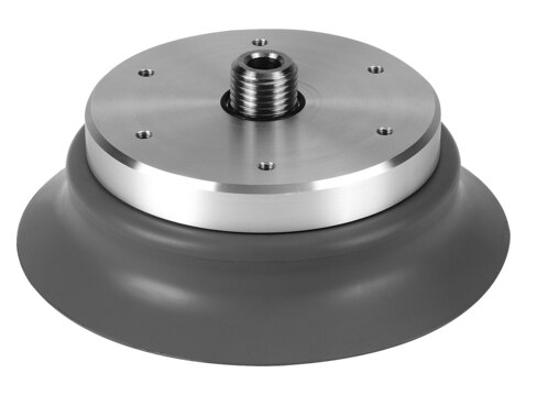 Suction cup with connection