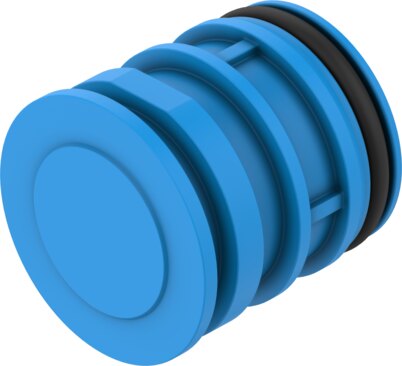 Blanking plug