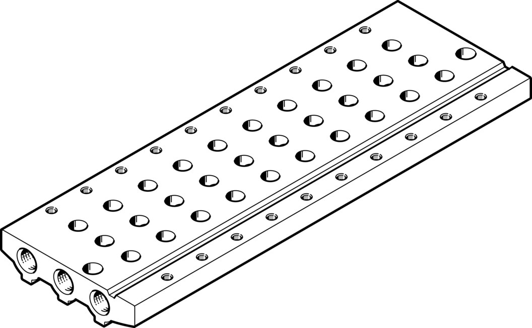Manifold rail