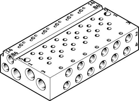 Manifold rail