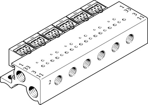 Manifold