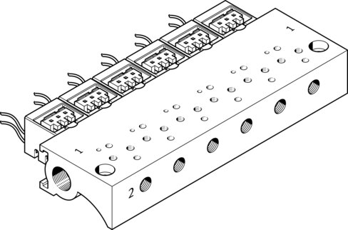 Manifold