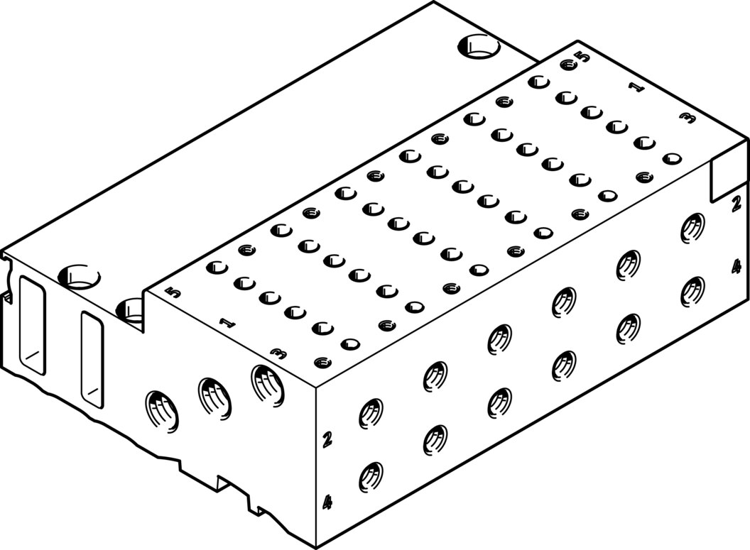 Manifold