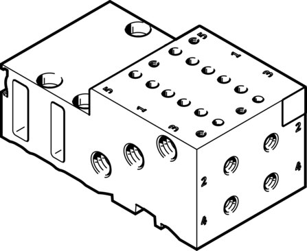Manifold