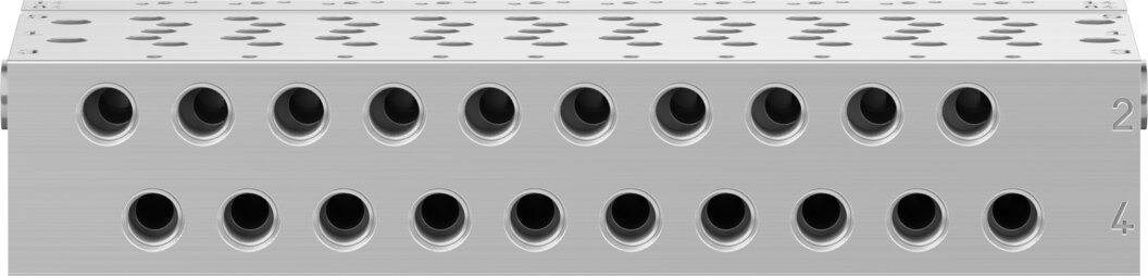 Manifold rail