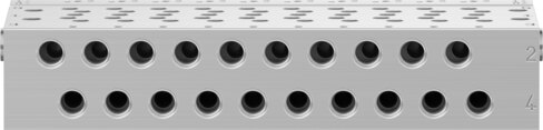 Manifold rail