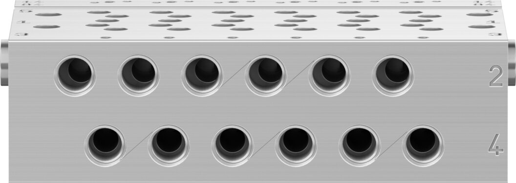 Manifold rail
