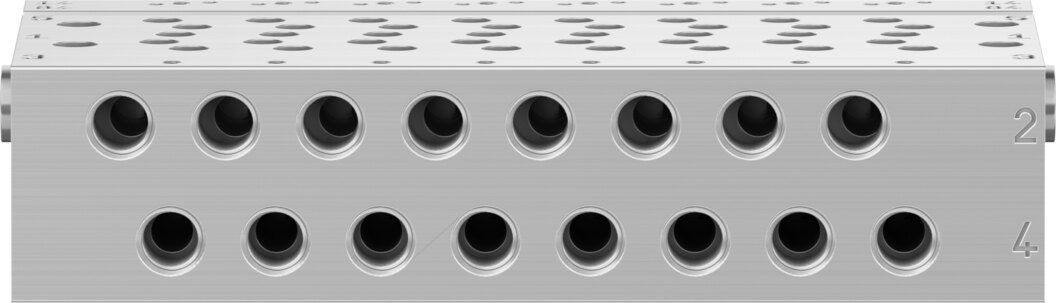 Manifold rail