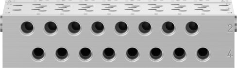 Manifold rail