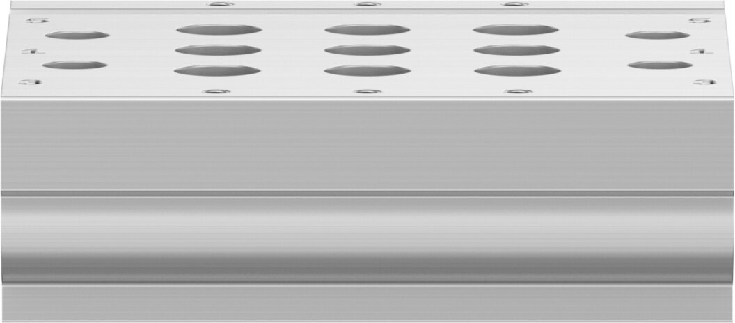 Manifold rail