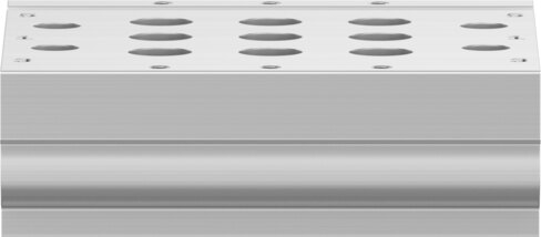 Manifold rail