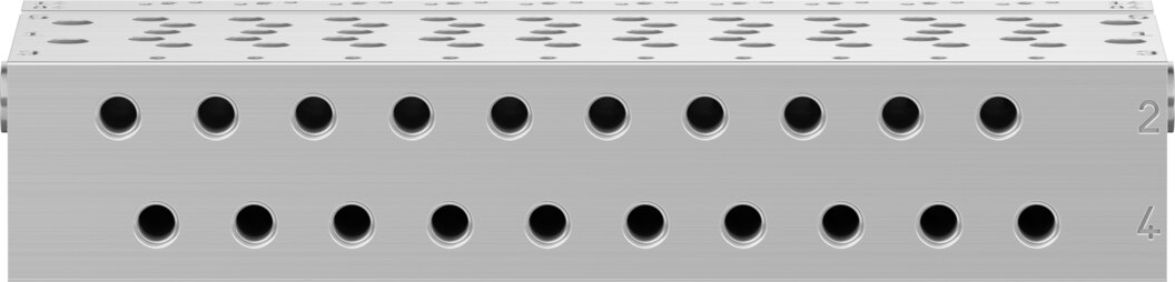 Manifold rail