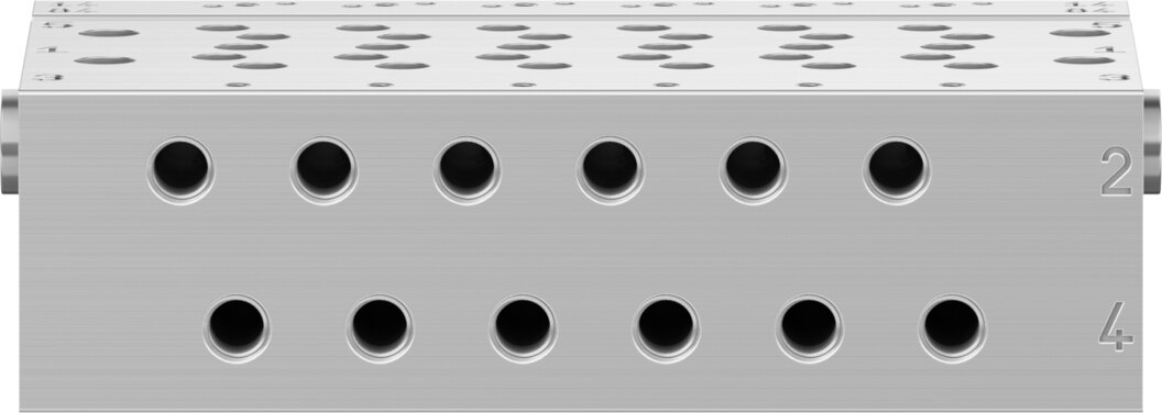 Manifold rail