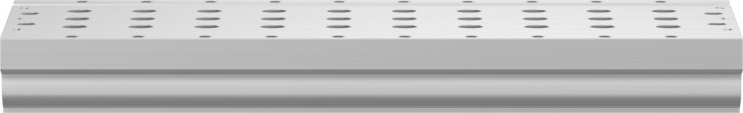 Manifold rail