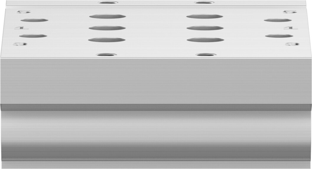 Manifold rail