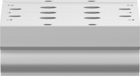 Manifold rail