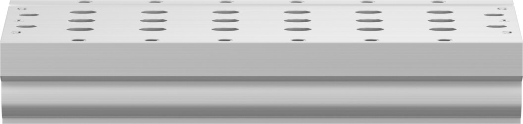 Manifold rail