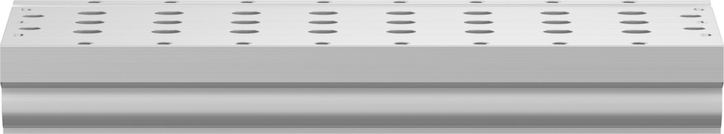 Manifold rail