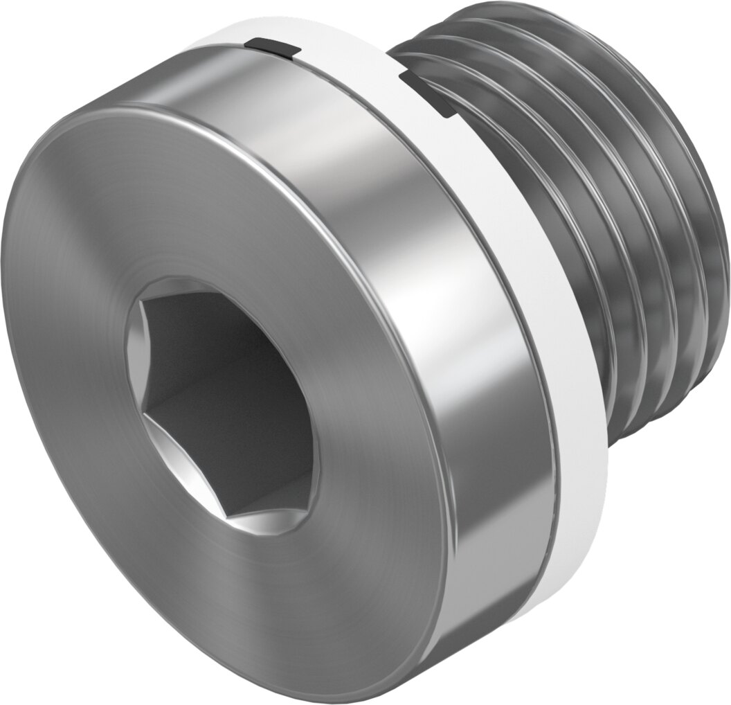 Blanking plug