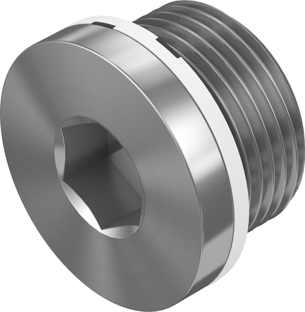Blanking plug