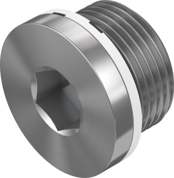 Blanking plug