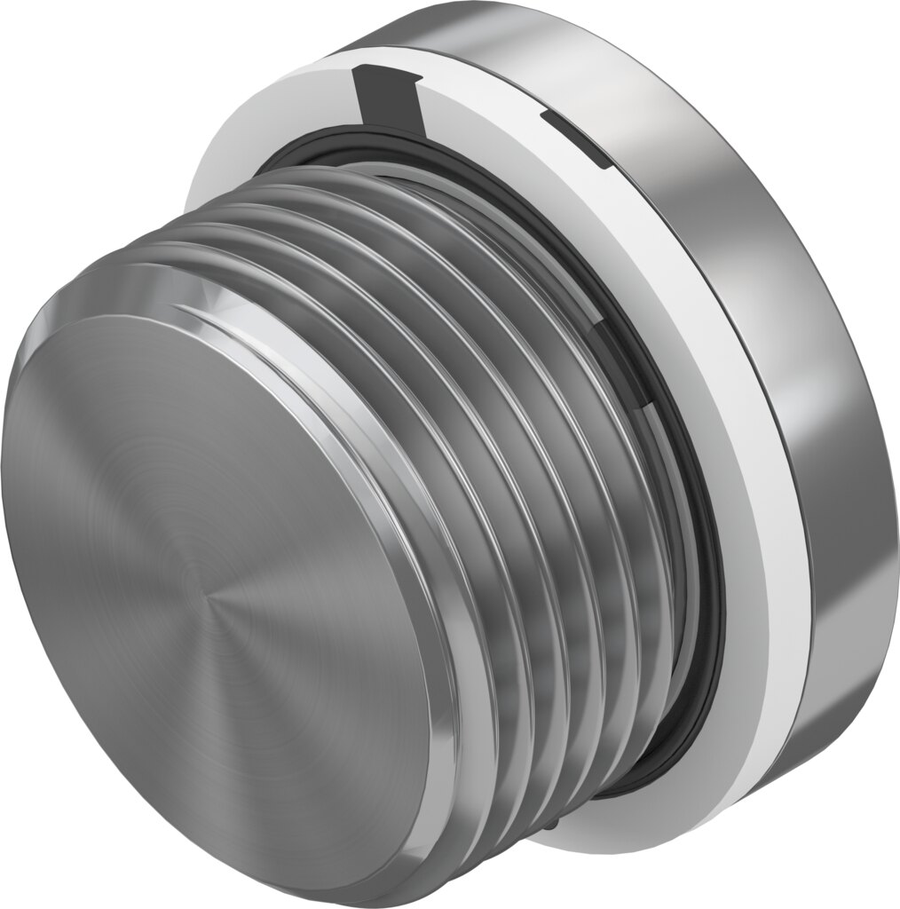 Blanking plug