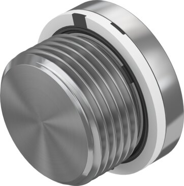 Blanking plug