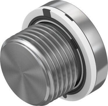 Blanking plug