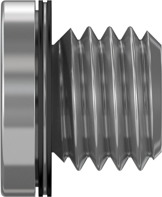 Blanking plug