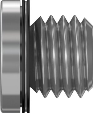 Blanking plug