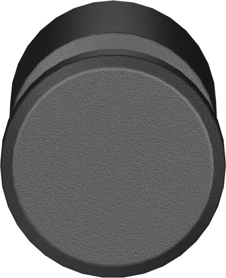 Blanking plug
