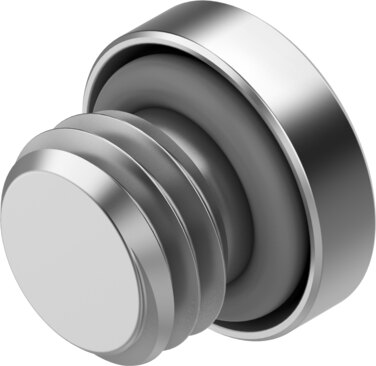 Plug screw
