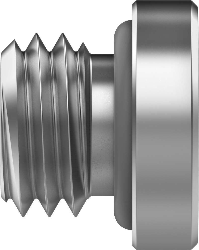 Plug screw