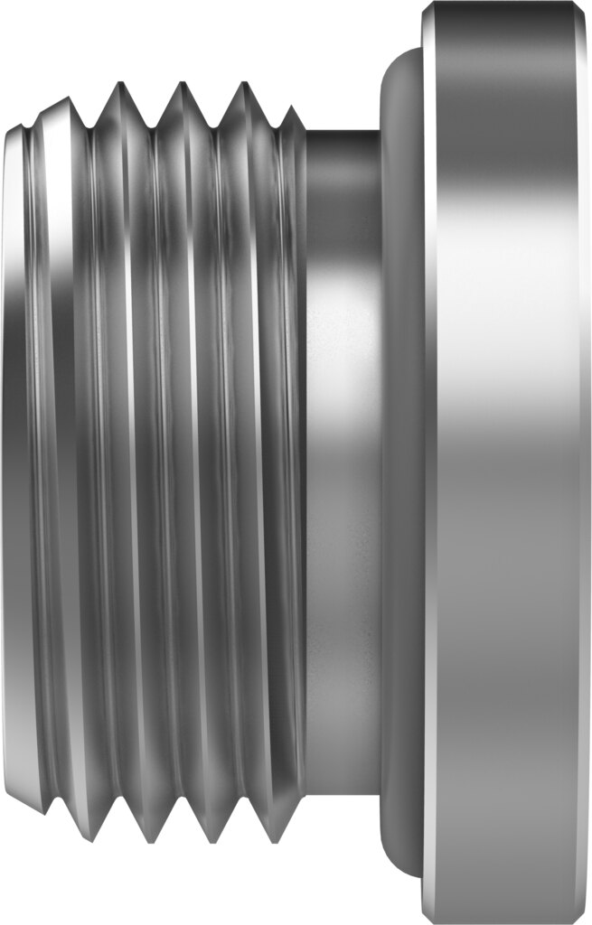 Plug screw