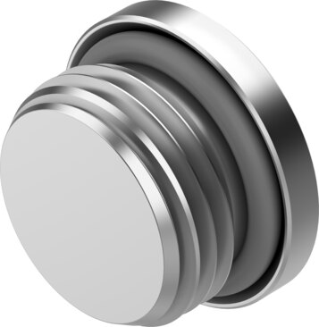 Plug screw