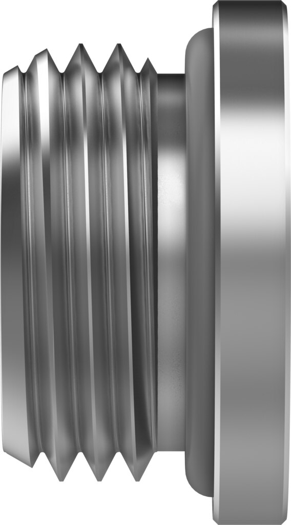 Plug screw