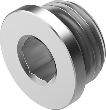 Plug screw