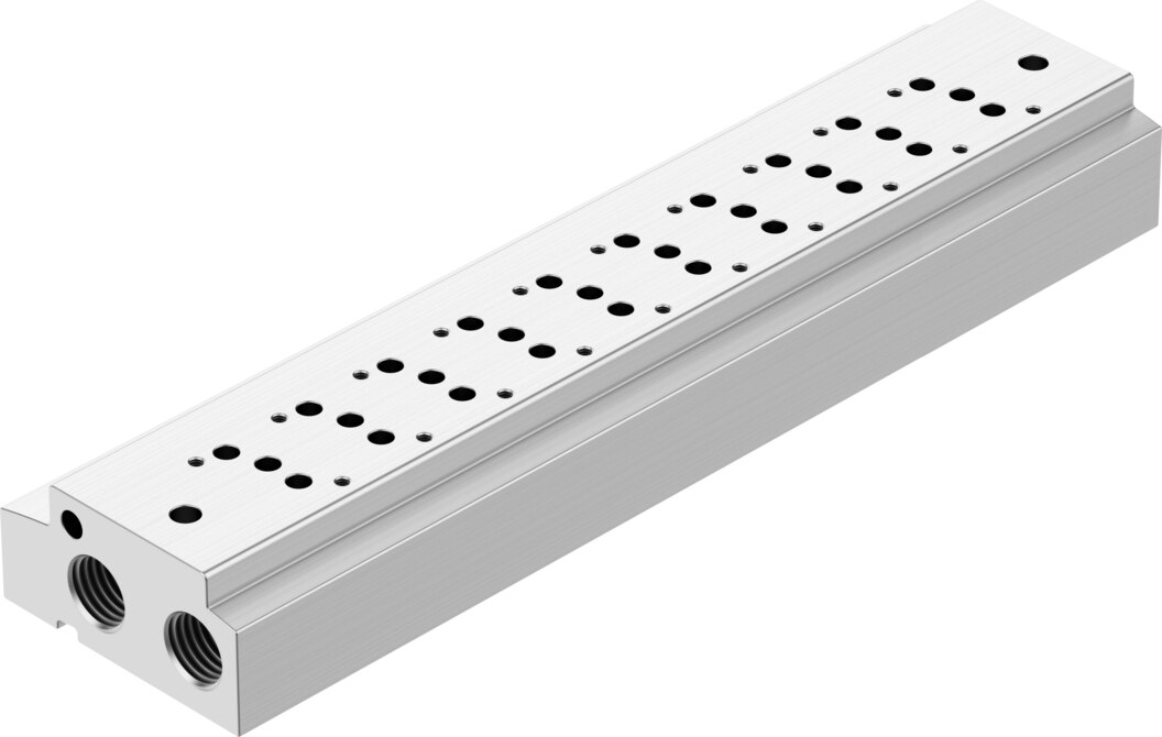 Manifold rail