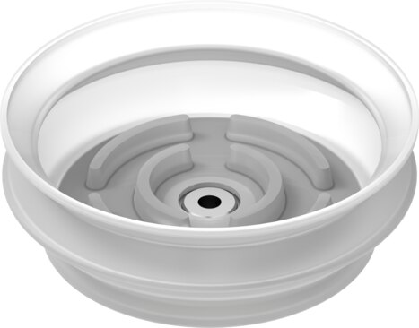 Suction cup with connection