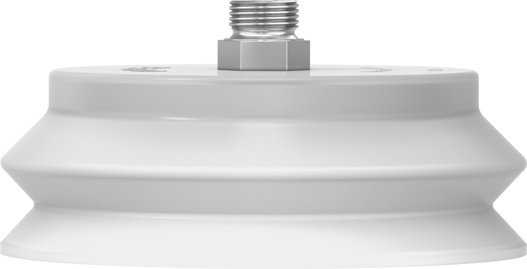 Suction cup with connection