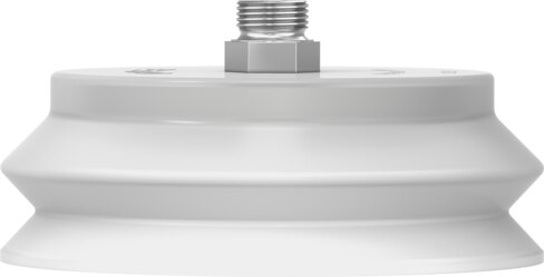 Suction cup with connection