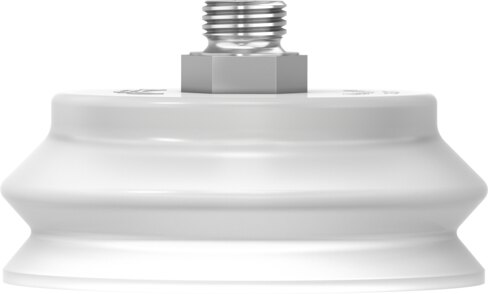 Suction cup with connection