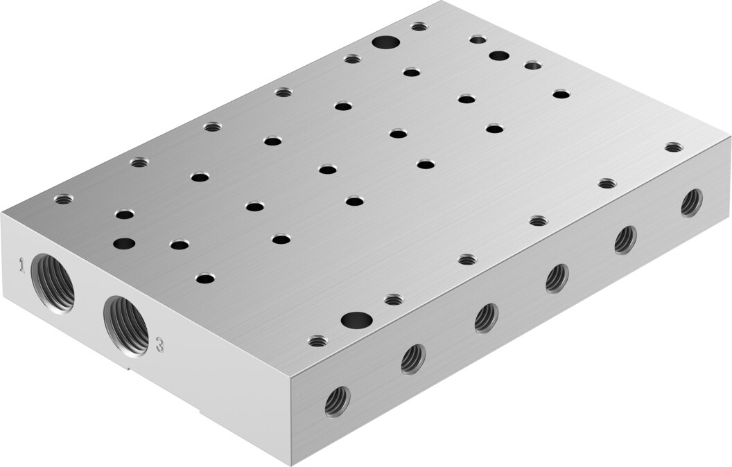 Manifold rail
