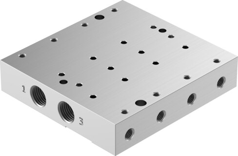 Manifold rail