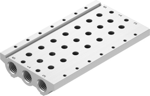 Manifold rail