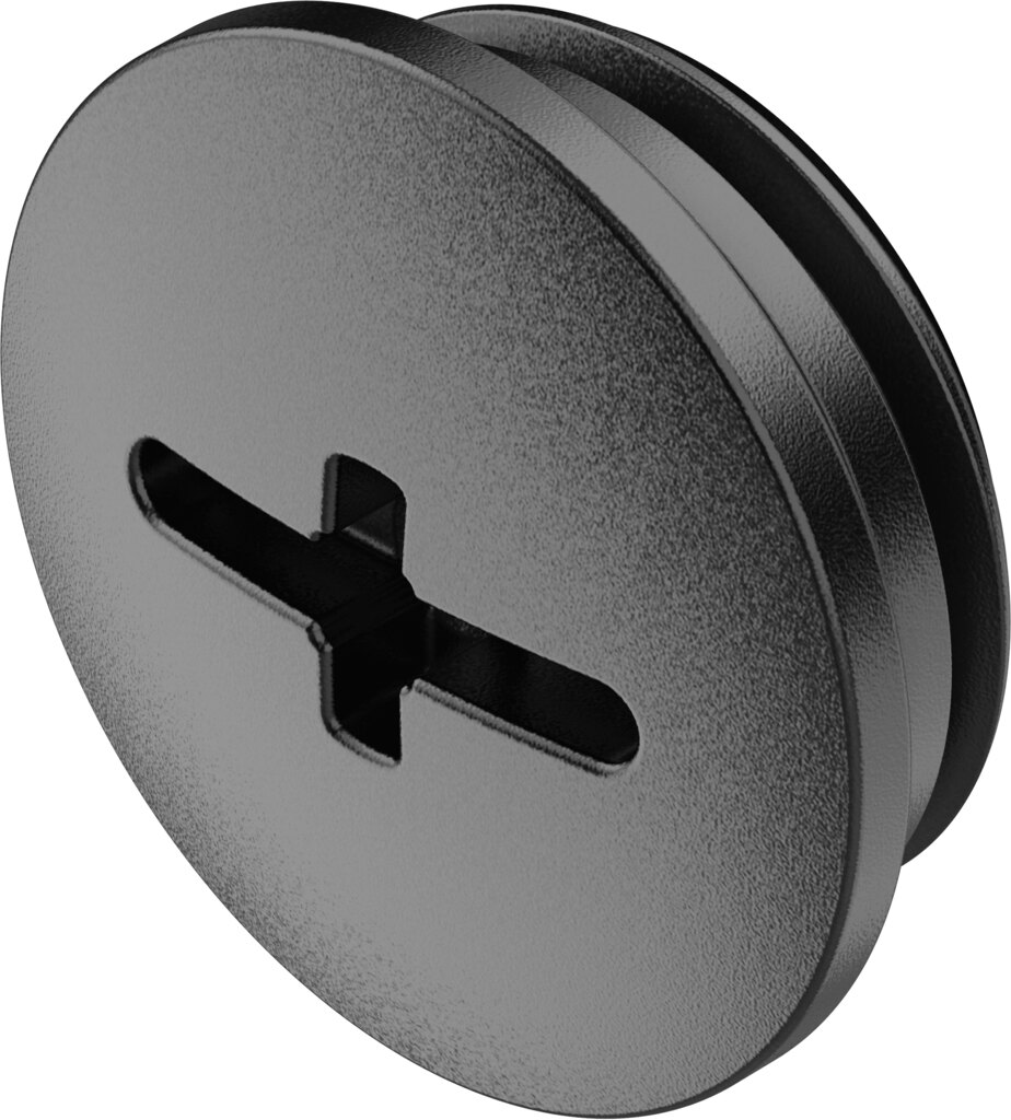 Plug screw