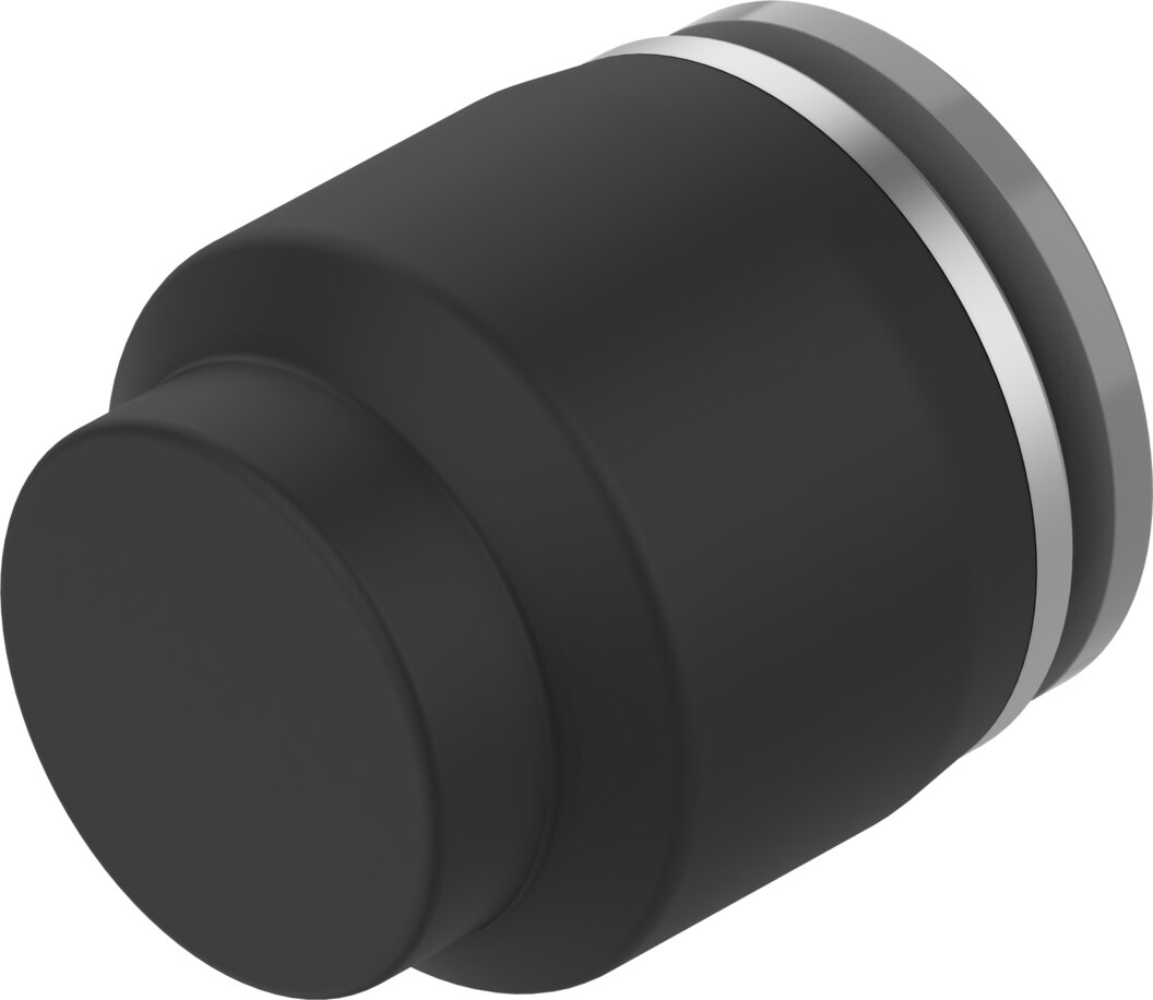 Push-in cap
