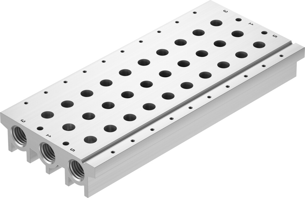 Manifold rail