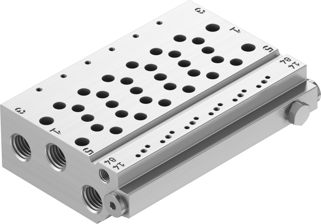 Manifold rail