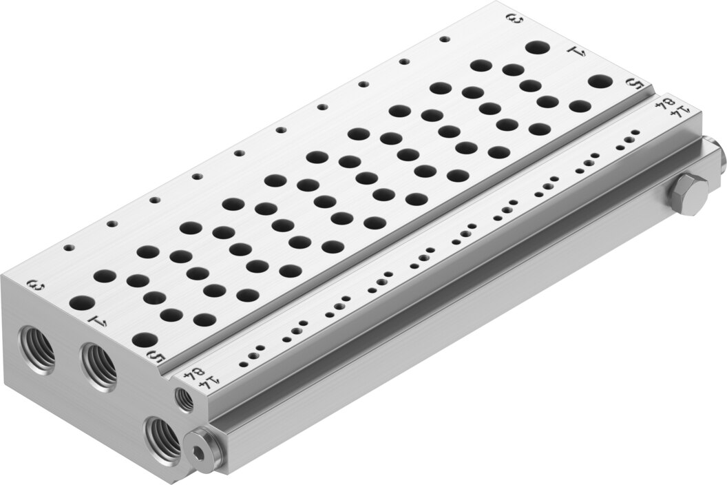 Manifold rail